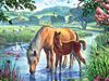 Full Round/Square 5d Diamond Painting Horse Mosaic Sunset DIY Diamond Embroidery Animal Home Decor Craft Kit