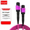 Shengwei 400G/800G Data Center MPO OM4 Fiber Patch Cable