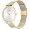 Calvin Klein TIMELESS MESH 25200003 Watch
