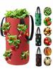 Hanging Flowerpot Bag Tomatoes Vegetables Strawberries Strawberries Pockets 35Cm