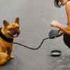 Dog Bottle Leash Combo Lightweight with Water Bowl Leakproof for Outdoor