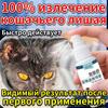 Cat Skin Care Spray 100ml Natural Formula for Itchy Skin Relief Treats Fungal Bacterial Infections