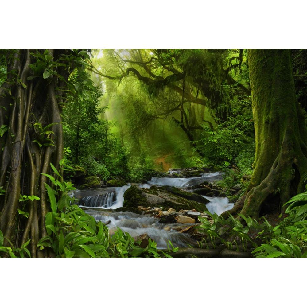 Spring Forest Backdrop Tropical Jungle Rainforest Backdrops for Photography Camping Adventure Birthday Background Photo Studio