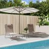 VidaXL Set of 2 Folding Sun Loungers, Sunbed, Patio Deck Chair, Outdoor Garden Seat, Brown 360184