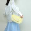 Plush Bag Women's Autumn/winter Korean Fur Bag Women's Chain Crossbody Bag