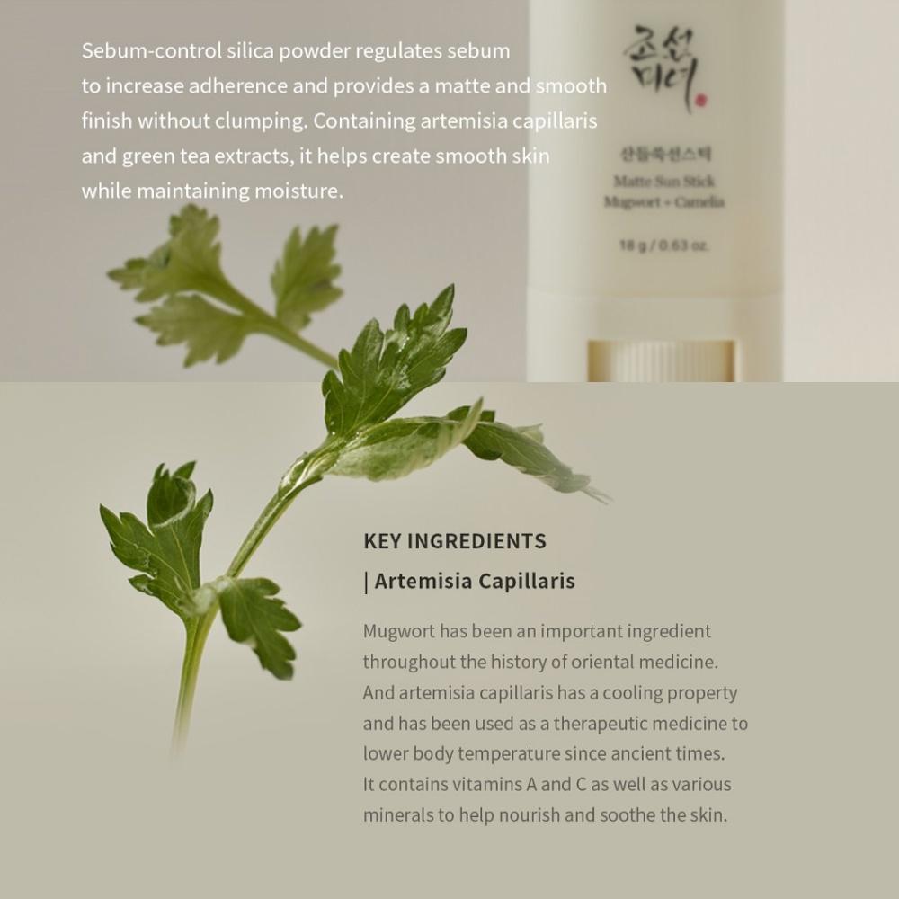 Beauty of Joseon Матовый солнцезащитный карандаш SPF 50+ PA++++ 18 г