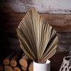 Party Decoration Bohemian Boho Natural Trimmed Dried Plant Leaves Palm Spears Fan Leaf