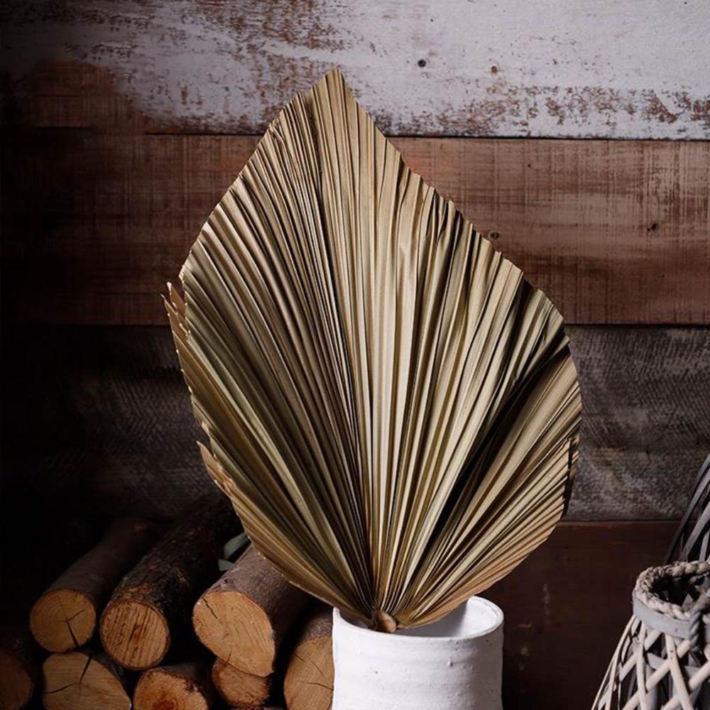 Party Decoration Bohemian Boho Natural Trimmed Dried Plant Leaves Palm Spears Fan Leaf