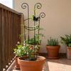 Butterfly Shaped Plant Climbing Trellis Strong Load Bearing Vine Climbing Rack  Potted Plants