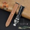 [vinacreations] 20mm Black Crocodile Watch Strap with D-Buckle, Men's Crocodile Replacement Watch Band with Quick-Release Spring Bars, Silver Wristban