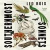 Southernmost Sonnets by Leo Boix Paperback Book 9781784745851