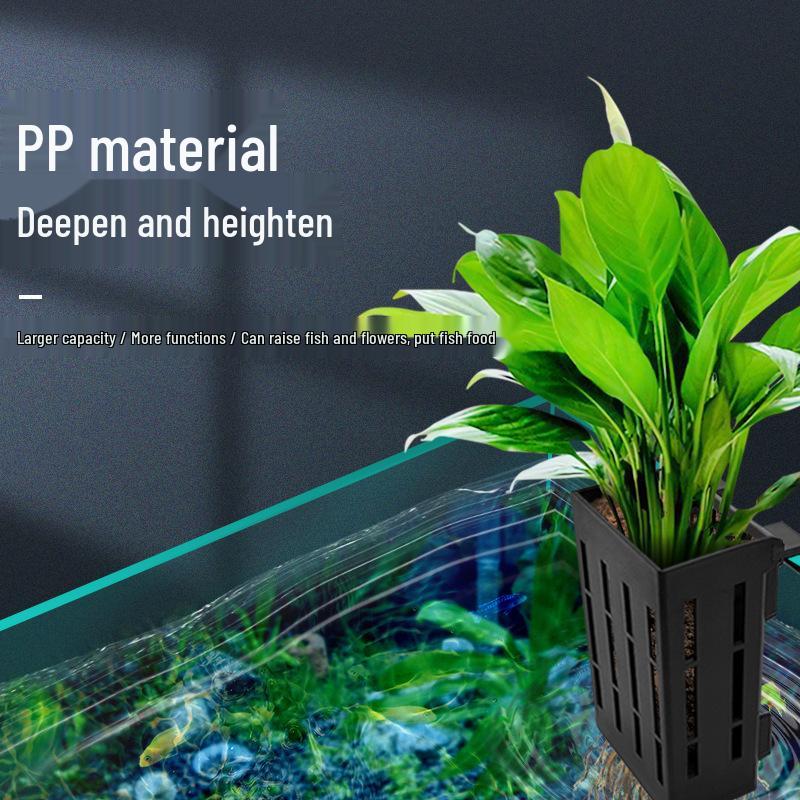 Wall-Mounted Hydroponic Plant Bracket for Aquatic and Green Plant Displays