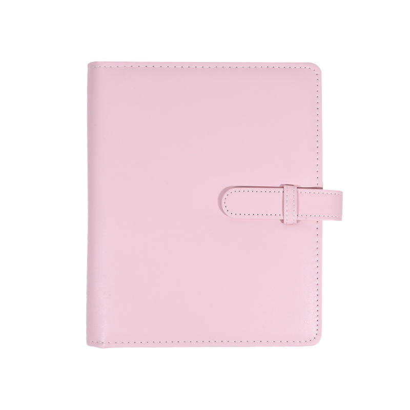 256 Cards Photocard Holder Book Card Protectors Pages Photo Card Card Holder Sleeve for Kpop Storage Office Card Organization Protect Card