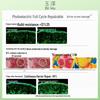 Dr.Yu Skin Barrier Repair Ampoule Essence