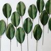10Pcs Artificial Magnolia Leaves Green Leaves for Bouquets Decoration Wedding Flower Arrangement Decorative Artificial Leaves