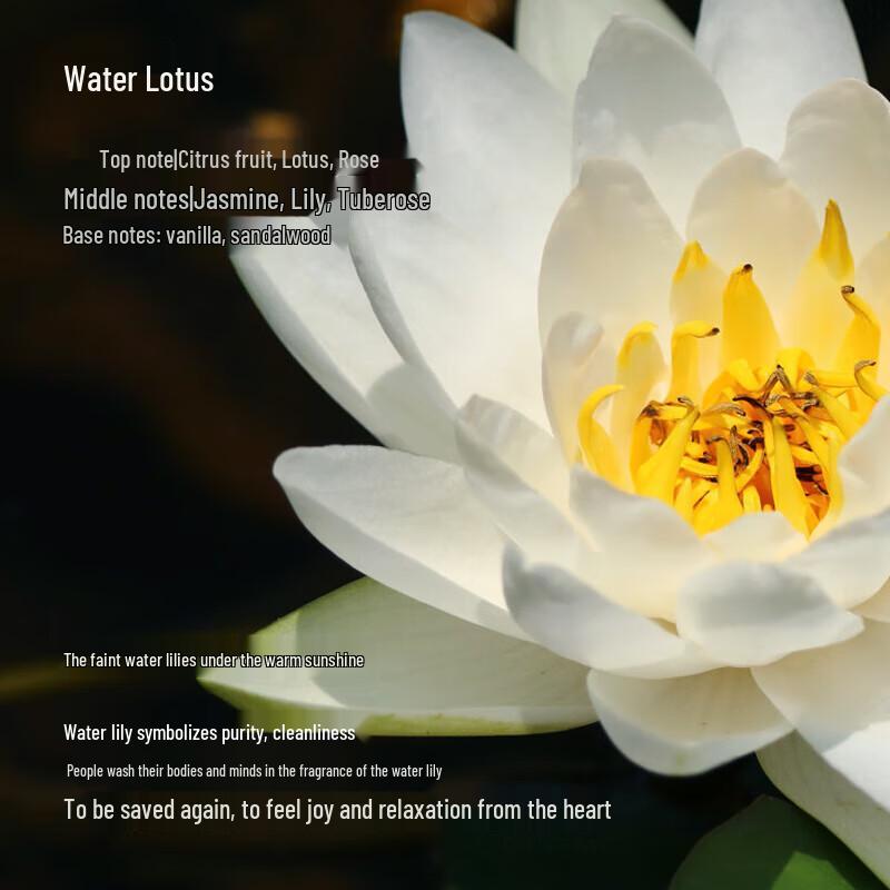 Oriental Gemstone Water Lily Moisturizing Body Lotion