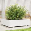 VidaXL Planter White 90x90x26.5 Cm Solid Pine Wood, Outdoor Planter, Flower Box, Plant Box, Planter 847314