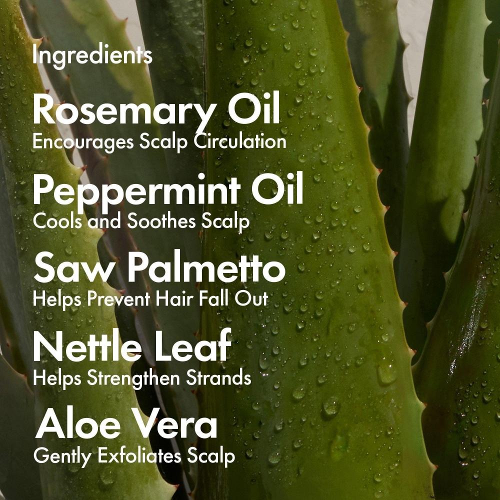 Кондиционер Bondi Boost Hg для истонченных волос 10,14 унции