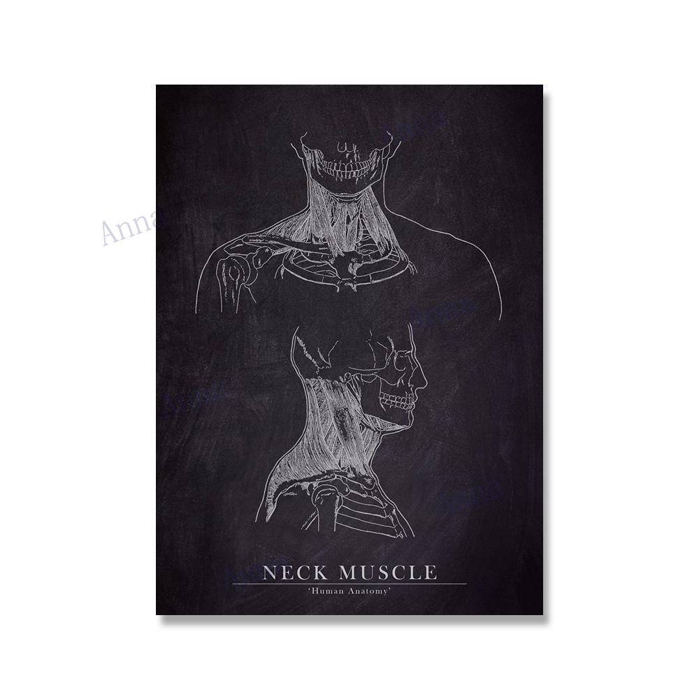 Muscle Foot Bone Heart Anatomy Skeleton Wall Art Canvas Painting Nordic Posters And Prints Wall Pictures For Doctor Office Decor