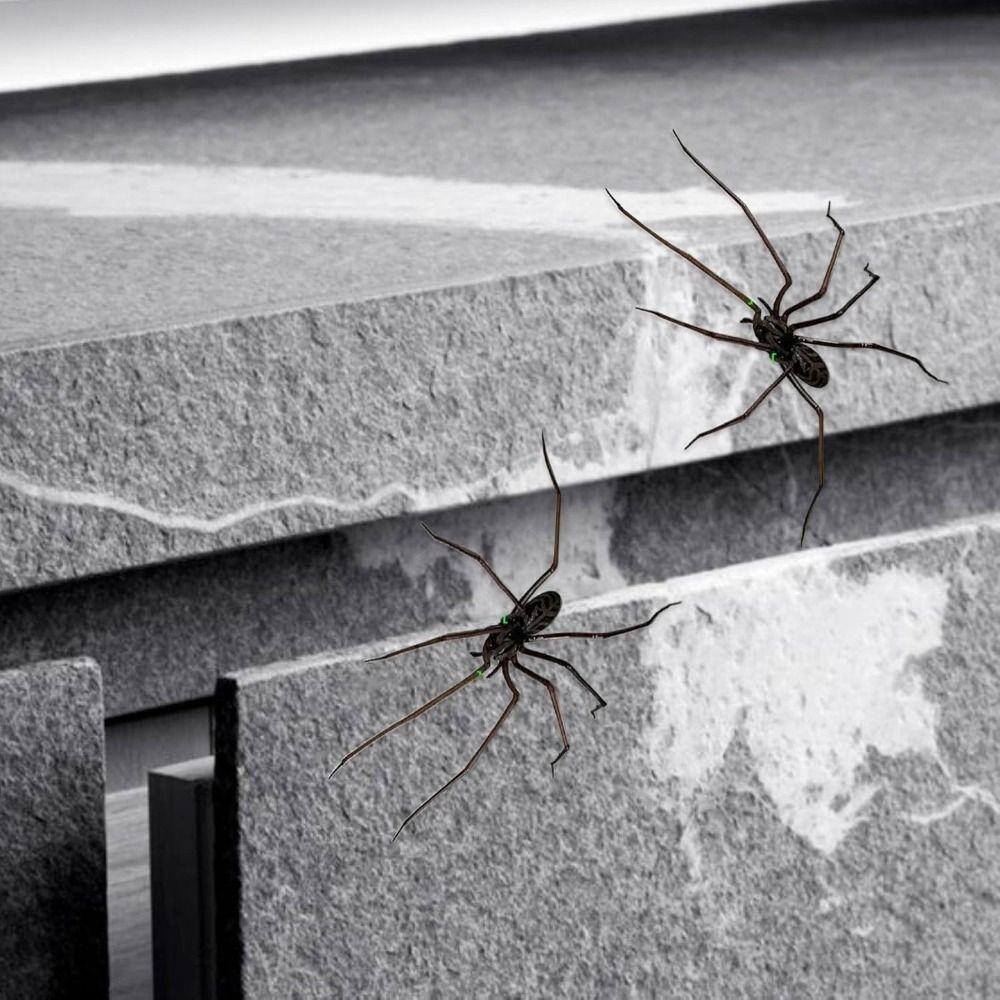 Funny Fridge Magnets Spider Refrigerator Sticker Strong Adhesive Flexible Legs 3D Spider Fridge Magnet Durable Removable