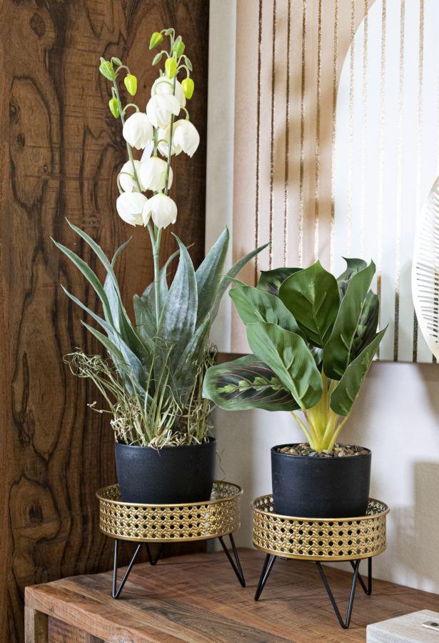 Vase Holder Bossy Set 2 Pcs Cm Ø 20,5X13-18X13
