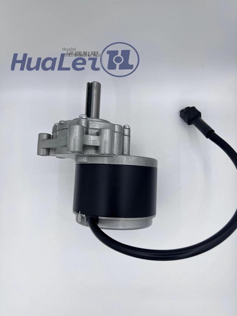 MY1016Z H250W24V75 Двигатель с постоянным магнитом для детского пляжного автомобиля