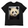 Giant Panda Xiao Qi Ji At the National Zoo T-Shirt Tshirts Personalised Anime Figures Shirts Graphic Tee Shirts Graphic Tee Men