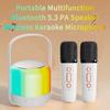 Портативный беспроводной двойной микрофон караоке-машина Bluetooth PA Динамик KTV DSP Система HIFI Стереозвук RGB Красочные светодиодные фонари