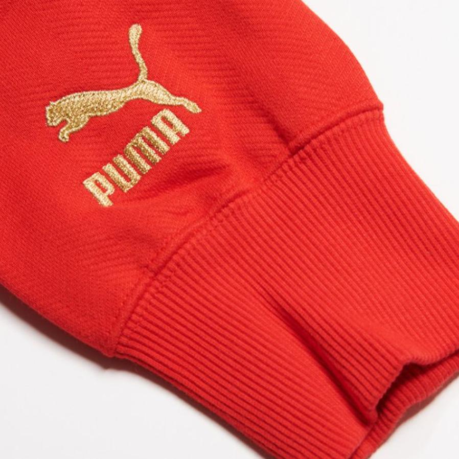 Puma Спортивная повседневная теплая модная удобная толстовка с круглым вырезом унисекс толстовка красная 534685-11