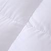 BAIWEISI White Goose Velvet Quilt