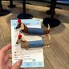 Забавная заколка для волос такса резинки для волос женщины девушки милая кавайная заколка для волос челка боковая заколка для укладки волос заколки для женщин девушек