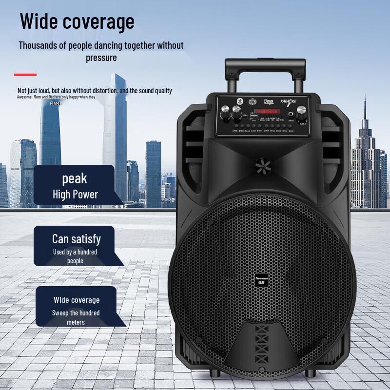 Портативная Bluetooth-колонка для караоке Newmine N509 (Китайская версия)