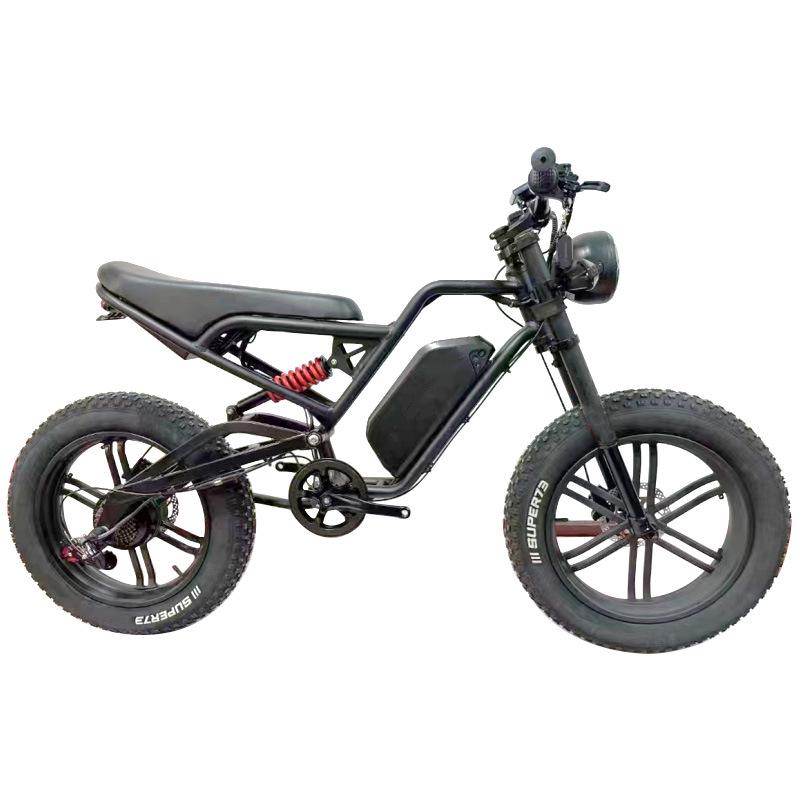 Cross 20-Inch 48V 500W Snow Style Electric Mountain Bike