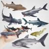 Реалистичные модели морских животных: Китовая акула, Леопардовая акула, Мегалодон, Акула-молот, Синий кит, Рифовая акула с черными плавниками