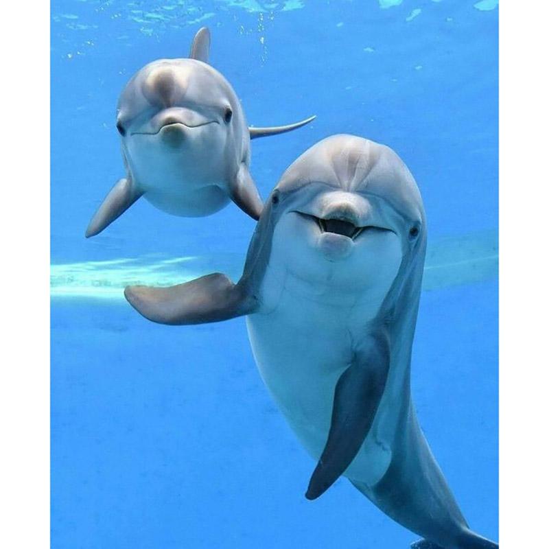 DIY Dolphin 5D Diamond Painting Full Round/Round Drill Animal Embroidery Cross Stitch Rhinestone Home Decor Christms Gift