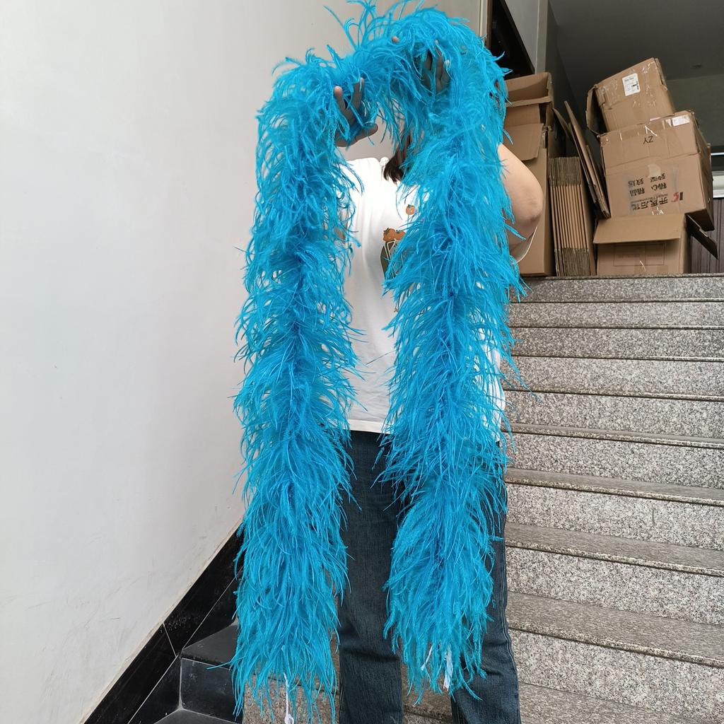 DIY 1 3 6 10 20Ply Natural Ostrich Feathers Boa 2 Meter Fluffy Ostrich feather Shawl for Wedding Party Dress Sewing Decoration Scarf