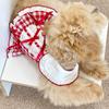 Pet Christmas Plaid Dress Cute Bow Dress New Year Small Dog Cat Teddy Shirt Dog Dresses for Small Dogs Puppy Clothes