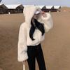 Plush Jacket New Women's Autumn and Winter Plush Hooded Sweater Short Small Furry Top
