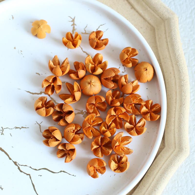 Dried Real Flowers & Materials: Pine Cones, Acorns, Cotton, Adhesives, Sunflowers - DIY Scented Floral Decor & Photography Props