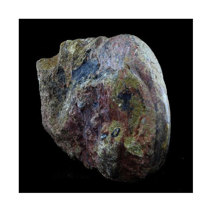 Pierres et Minéraux. Fossile Lytoceras cornucopiae. 12772.0 ct. (21 cm) Belmont-d'Azergues, Rhône, France.