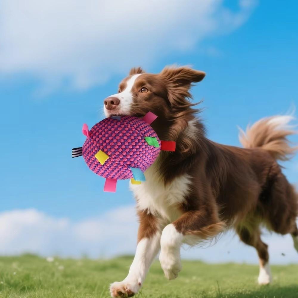 Bite-resistant Plush Dog Vocal Toy Ball Creative Pet Shake Sound Toy Grinding Teeth