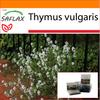 Garden in the Bag - Тимьян обыкновенный - 200 семян - С субстратом в подходящем стоячем пакете - Тимьян обыкновенный