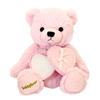 Sears Teddy Bear Plush Toy with Jewelry Box Gift Set Heart-Shaped (Pink) Tdt-01-pk