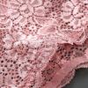 Women Underpants Breathable Lace Soft Solid Color No Constraint Quick-drying See-through