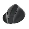 YiPan HC Wireless Ergonomic Vertical Mouse