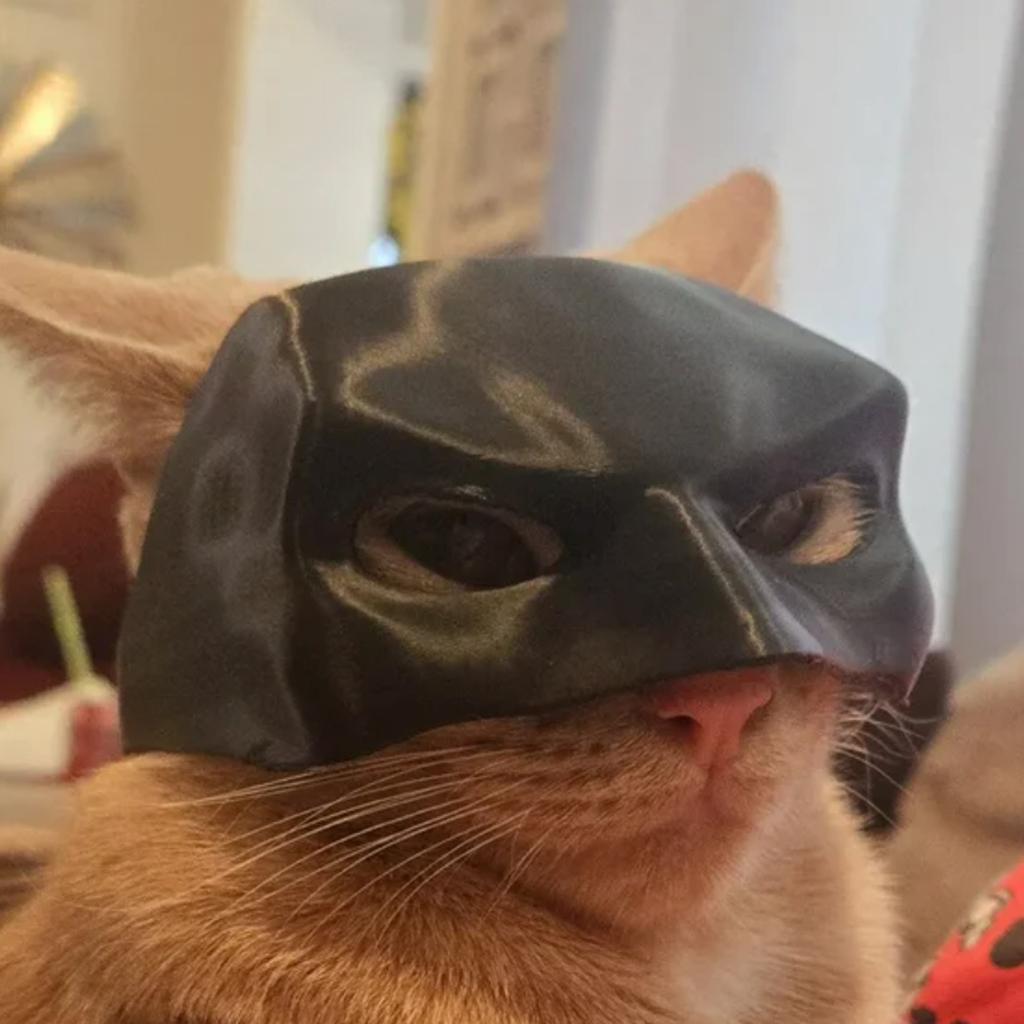 Bat-Cat - Маска летучей мыши Маска кошки