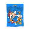 Pastel Walper Blankets PPusheencats Flannel Funny Warm Throw Blankets for Coverlet SpringAutumn