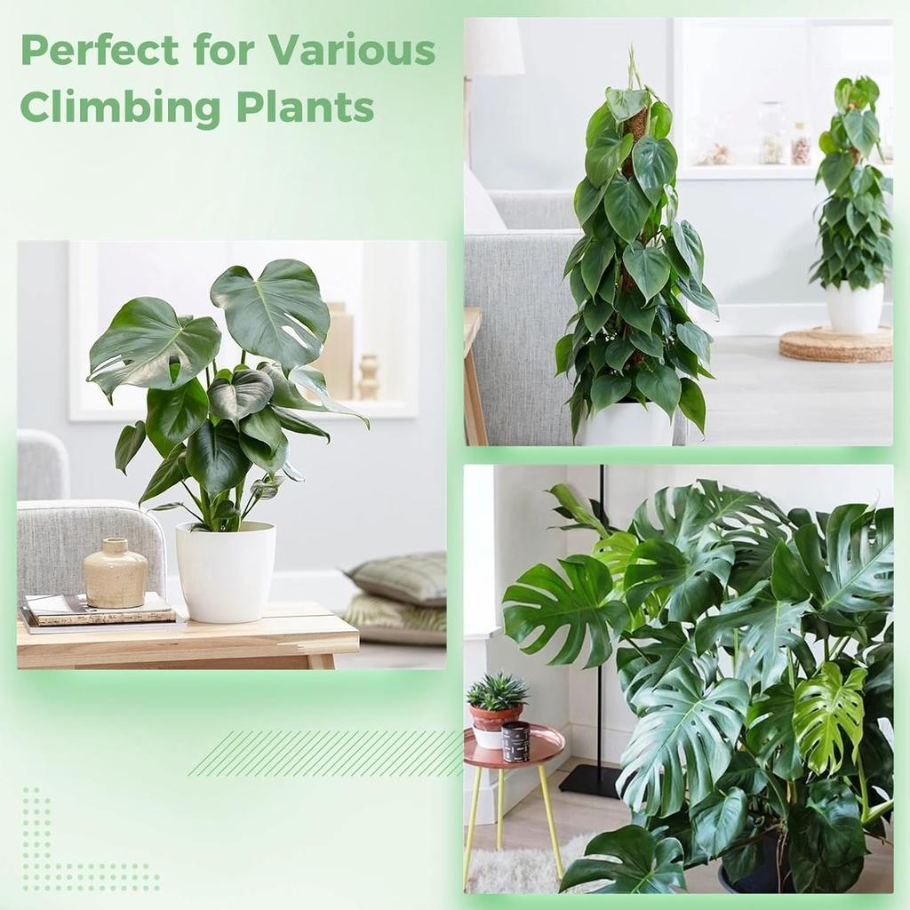 4 шт. пластиковых моховых столбиков, 24″ прозрачные палочки из сфагнового мха для комнатных вьющихся растений, штабелируемые полые опоры для растений с 10-футовыми стяжками, растительный мох