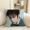 Ryan Ding Yuxi Mu Sheng Pillow Case Living Room Sofa Cushion Cover Suitable For Home Bedroom Room Decoration