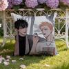 BL 19 дней C-Comics Наволочка-подушка для дома и автомобиля: Двусторонняя конструкция для максимального комфорта